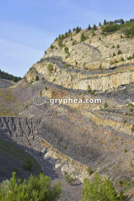 Carrière de charbon (Graissessac) - gryphea.org